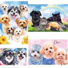 Item thumbnail for item ad88b58f-701e-4cd9-8c5f-ce86e279122a