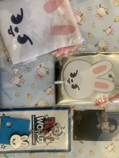 skzoo ミニうちわキーホルダー リービットグッズセット