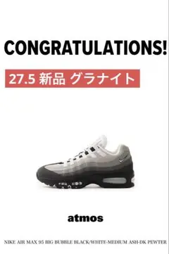 27.5 NIKE AIR MAX 95 BIG BUBBLE GRANITE