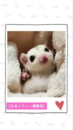 【みるくてぃー様専用】モモンガポーチ