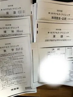 2026年最新】サクセスクリニック 2024の人気アイテム - メルカリ