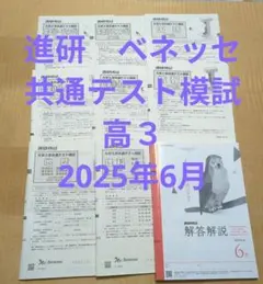 【新品未使用】進研模試 高２ 大学入学共通テスト模試 ２０２５年２月実施ベネッセ 書き込みあり 2025年2月実施 高2大学入学共通テスト模試 進研模試 解答