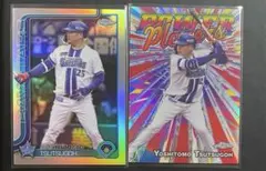 Item thumbnail for item 33b1c605-3d84-4421-9df2-52696c8cdcec