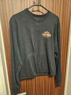 Harley-Davidson ロンTのサムネイル