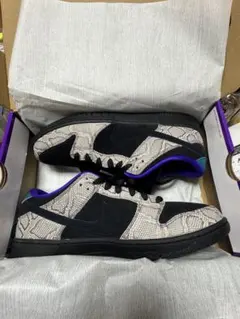 NIKE SB DUNK LOW PRO Dashawn Jordan 31cmのサムネイル