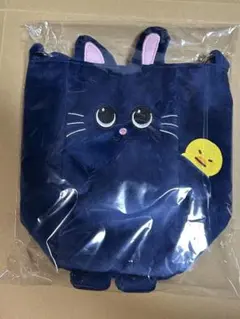 RIIZE ペンライトバッグ ウォンビン