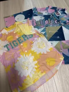 Item thumbnail for item 4b8d794f-171f-4e11-a709-b6a62321a301