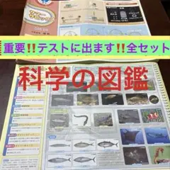 ㉑な サピックス SAPIX 6年 理科 科学の図鑑 一年分フルセット - メルカリ
