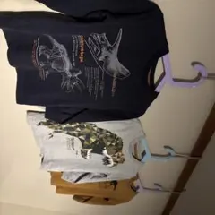 NEXT 3yrs 恐竜 長袖Tシャツ 3枚セット 100cm