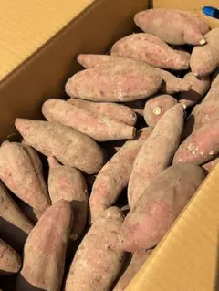 鹿児島県産　熟成紅はるかA品　箱込5キロ Mサイズ　b