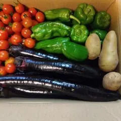 岐阜県産の新鮮野菜、ピーマン二種類 ミニトマト 長茄子、じゃがいも詰め合わせのサムネイル
