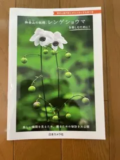 Item thumbnail for item 9e52bd7f-bb59-4d82-8a68-aec0d0bfc7c0