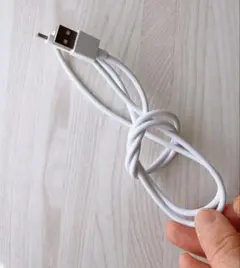 【変換ケーブル】④ USB-A to C 1m 白❶