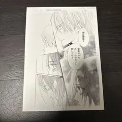 2025年最新】ヴァンパイア騎士 複製原画の人気アイテム - メルカリ