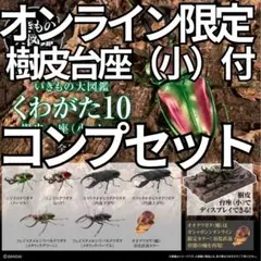 オンライン限定 いきもの大図鑑 くわがた10 樹皮台座（小）付 コンプセット