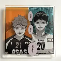 ハイキュー/ジャンフェス/名言アクリルバッジコレクション/日向翔陽/影山飛雄