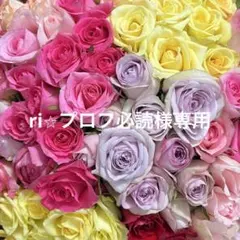 ri⭐︎プロフ必読様専用　20㎝ 100本のサムネイル