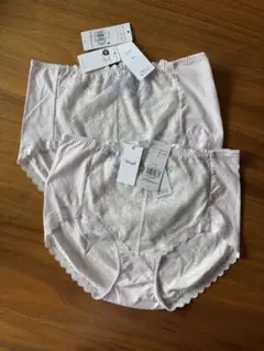 Lの2枚」トリンプ 天使のブラ 魔法のハリ感606 はきこみ深めショーツ