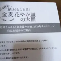 金麦　花やか皿の大皿　同じ皿を3枚のサムネイル
