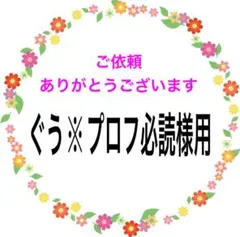 ぐう※プロフ必読様 リクエスト 2点 まとめ商品