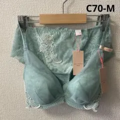 トリンプ　アモスタイル　チャーミングラマー　ブラ＆ショーツ　C70-M