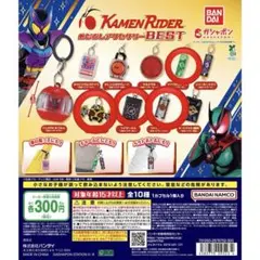 仮面ライダー めじるしアクセサリー BEST 4点セット