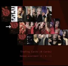 さ*た様 HANA アルバム トレーディングカードセットB