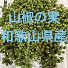 2026年最新】花山椒の人気アイテム - メルカリ
