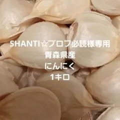 SHANTI☆プロフ必読様専用ページです