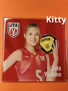 新品未開封】佐藤淑乃選手 2026バレーボール女子日本代表 アクリル