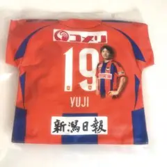 アルビレックス新潟　星雄次選手　マッチデークッション