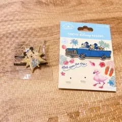 東京ディズニーリゾート ピンバッジ