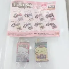 サンリオ キャラパキチョコレート ミニチュアコレクション 2点 キティ プリン