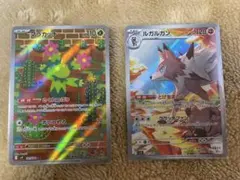 マラカッチ AR ルガルガンAR セット売り