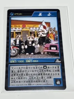 ☆5連番 PSA鑑定品 どんぎつねカード コンプリート さいとうなおき