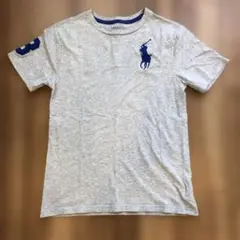 POLO RALPHLAUREN キッズ　Tシャツ 150サイズ