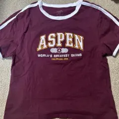 Cotton On ASPEN 半袖Tシャツ ボルドー Sサイズのサムネイル
