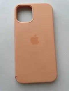 Apple純正 iPhone12ケース カンタロープ