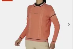 Item thumbnail for item 890ac6c7-dbc1-495a-8f96-016446cb83e2