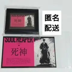 BLEACH 死神 黒崎一護 額縁 マグネット ぺたコレ アニメイト