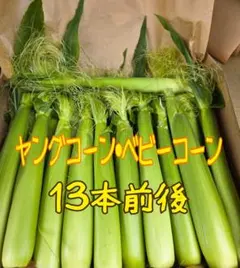 ベビーコーン１３本前後のサムネイル