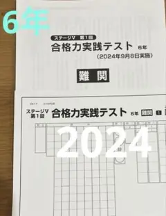 未使用‼️日能研6年 合格力実践テスト 難関 2024年9月8日実施