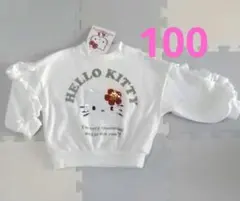 Item thumbnail for item 6559cc23-8edf-4942-9d57-4ab51d28172a