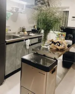 美品SONGMICS ゴミ箱 2段式3分別 縦型 合計60L