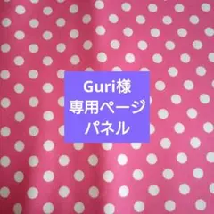 Guri様専用ページです。パネル購入