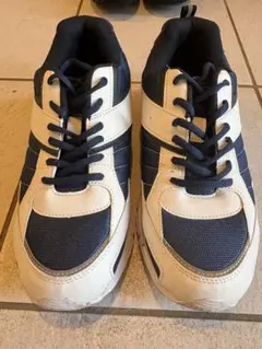 Item thumbnail for item b2c14db6-f5dc-418b-90b6-db046bbf77d1