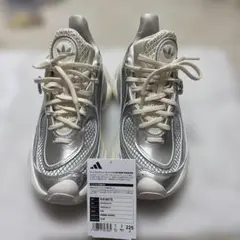 OZVENUZ W シルバー 22.5
