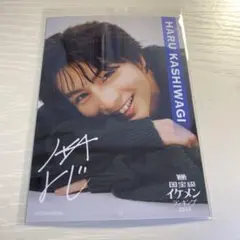 柏木悠 ViVi 国宝級イケメンランキング2023