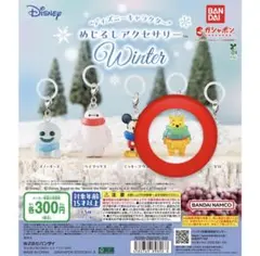 Disney めじるしアクセサリー Winter