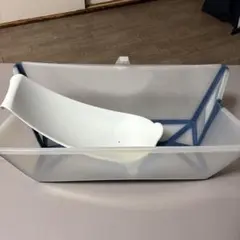 Item thumbnail for item 77e43060-050e-4342-aef5-dbc0a3444f08